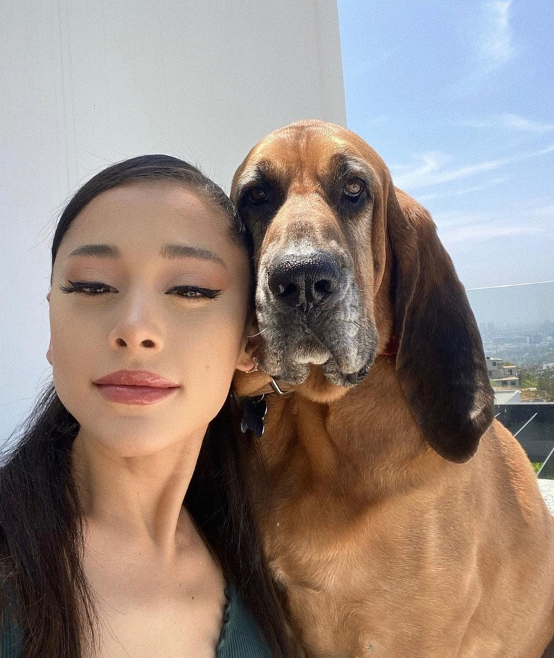 Perros por días | Instagram/@arianagrande