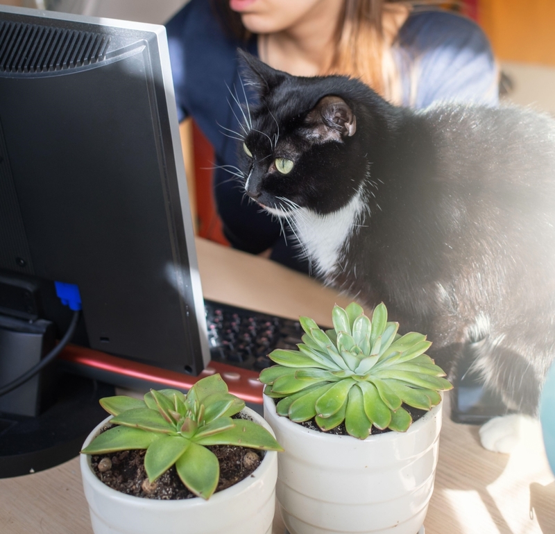 Keine Worte nötig | Alamy Stock Photo by Natalia Semkina