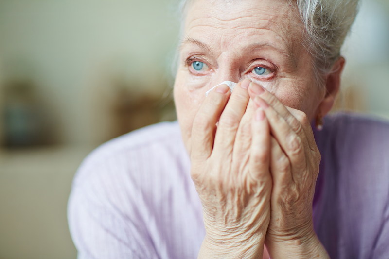 Marthas herzzerreißende Geschichte | Shutterstock