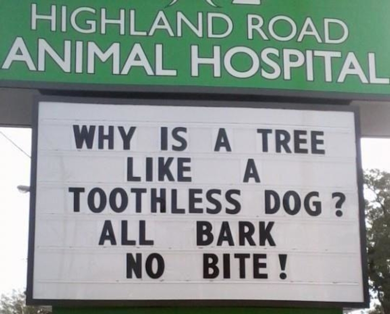 Nicht Jeder Hund | Facebook/@HighlandRoadAnimalHospital