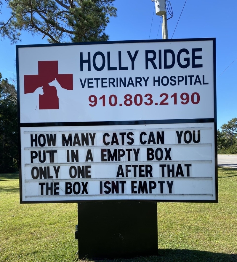 Katzen und Kartonschachteln - Eine Liebesgeschichte | Facebook/@HollyRidgeVet