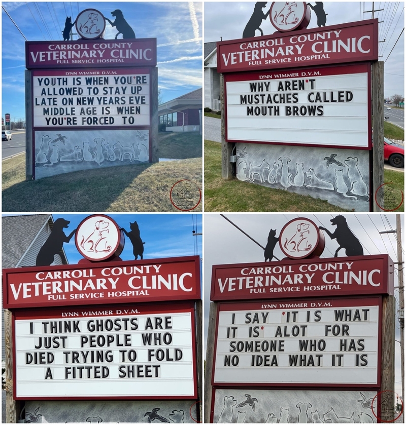 Diese lustigen Tierarztschilder werden Ihren Tag versüßen | Facebook/@carrollcovet