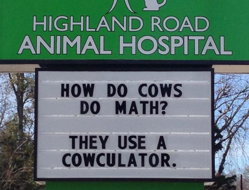 Rindermathematik | Facebook/@HighlandRoadAnimalHospital