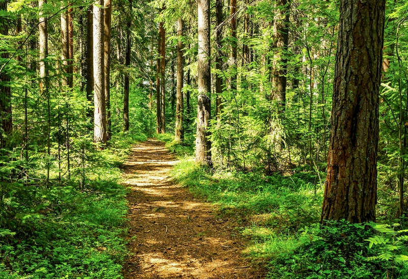 A Clear Path | TSN52/Shutterstock 