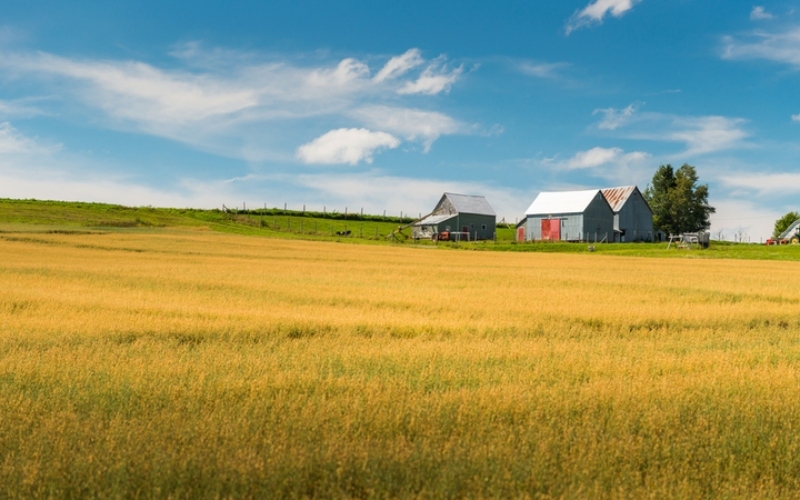 Huge Country, Small Population | Shutterstock Photo by Joshua Davenport