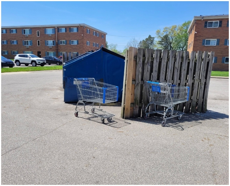 Dumpster Cart Chronicles | Imgur.com/rPEPCiT