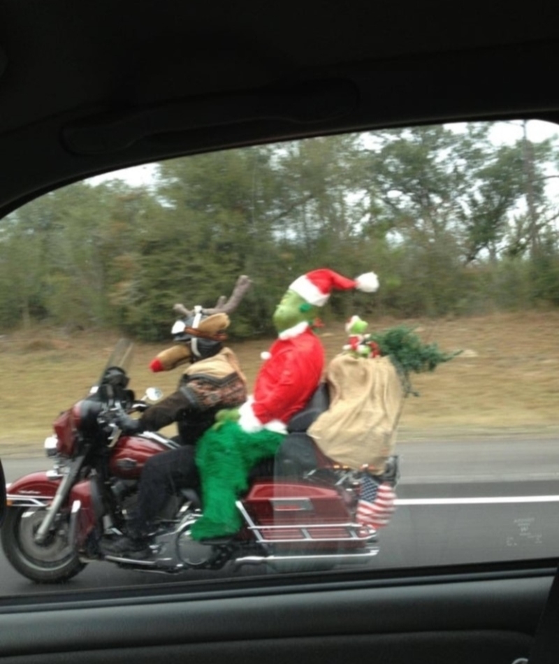 El Grinch motociclista | Imgur.com/GpMN1