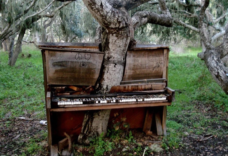 Piano abandonado | Reddit.com/Mind_Virus