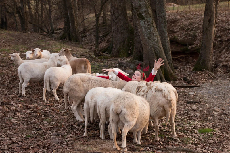 Bei dieser Weihnachtskarte ist etwas schiefgegangen | Reddit.com/mydogismysoulmate