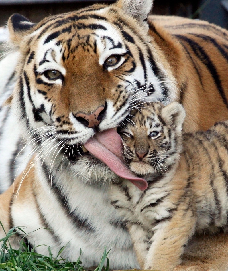 Das haben wir alle schon durchgemacht | Alamy Stock Photo by REUTERS/Ilya Naymushin