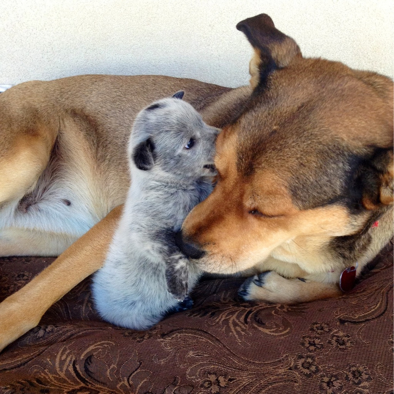 „Schau mich an, Mama!“ | Imgur.com/sccorpio19