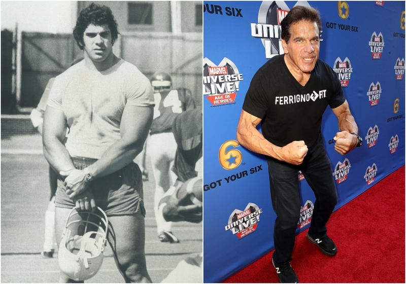 Lou Ferrigno | Getty Images Photo by Ron Bull/Toronto Star & Ari Perilstein