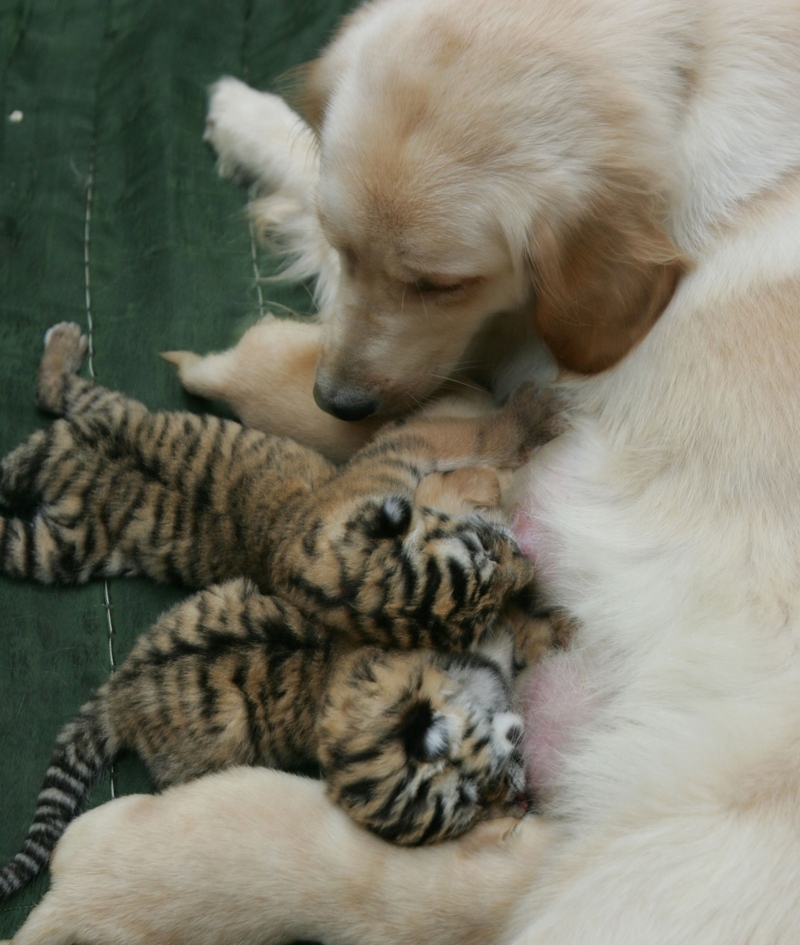 So Many Questions | Getty Images Photo by China Photos