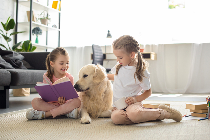 Labradores y Otras Razas Pacientes Escuchan a los Niños Leer | LightField Studios/Shutterstock