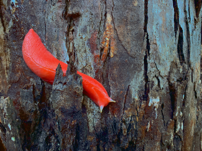 Eek! | Getty Images Photo by Searsie