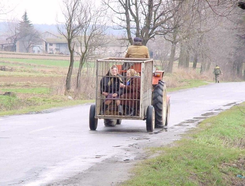 What Kind of Market Is This Guy Going to? | Photo by koreus.com