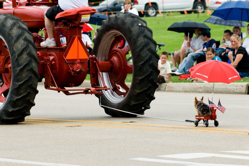 A Little Bit Overpowered | Alamy Stock Photo by Jim Cole, Photographer 