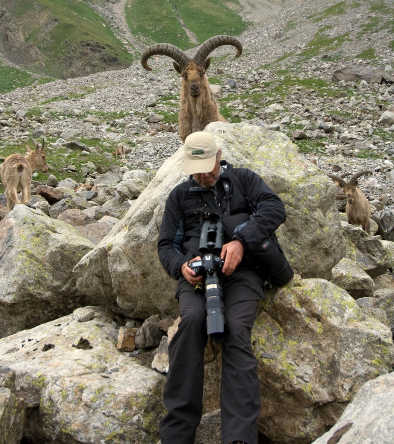 Cucú | Alamy Stock Photo by Igor Shpilenok/Nature Picture Library