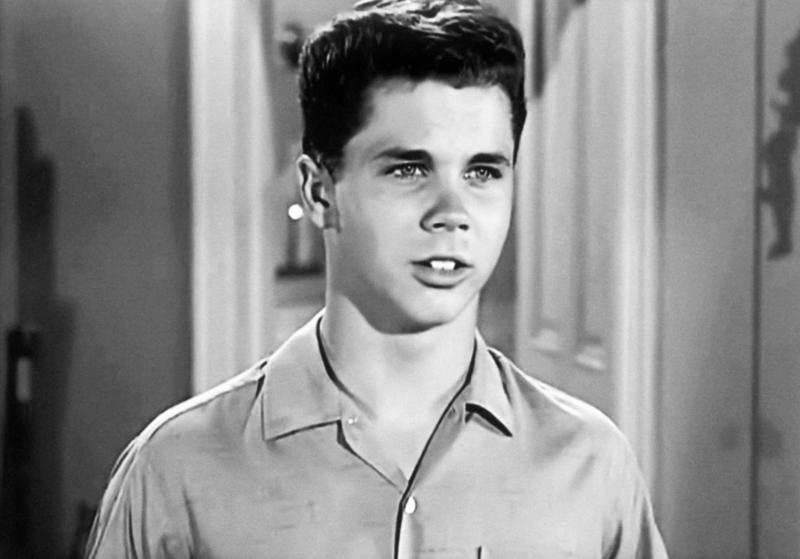 Tony Dow llegó a la actuación completamente por casualidad | Alamy Stock Photo by Courtesy Everett Collection Inc