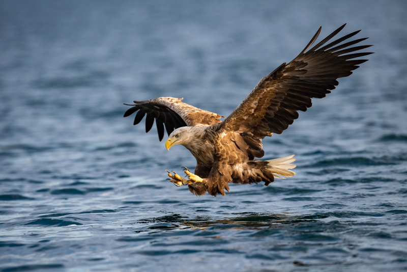 The Moment of Truth | Shutterstock Photo by Petr Simon