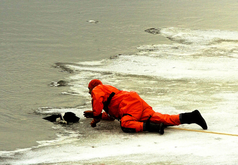 He Could Have Given Up | Getty Images Photo by Jim Evans/Portland Press Herald