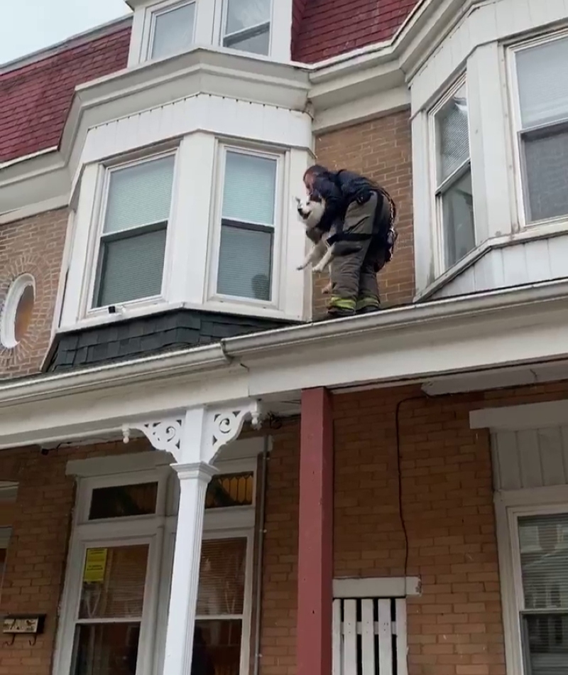 Rooftop Rescue | Facebook/@York City Department of Fire/Rescue Services