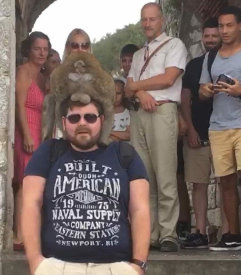 Monkey See, Monkey Do | Reddit.com/MisunderstoodToast