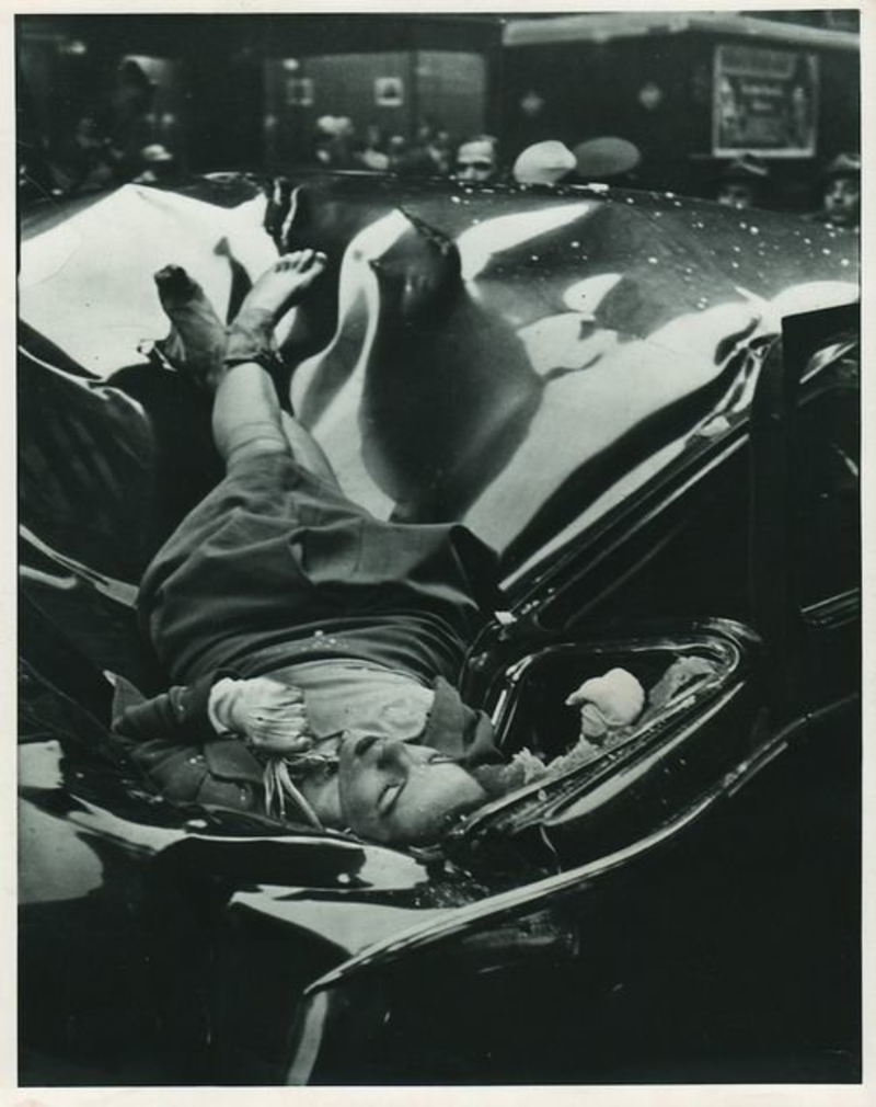 evelyn mchale original photo