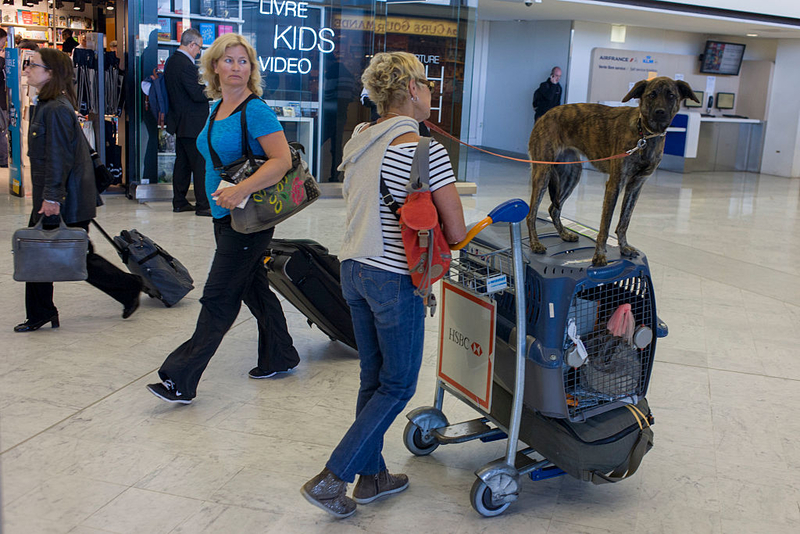 Hitching a Ride | Getty Images Photo by Richard Baker/In Pictures Ltd./Corbis