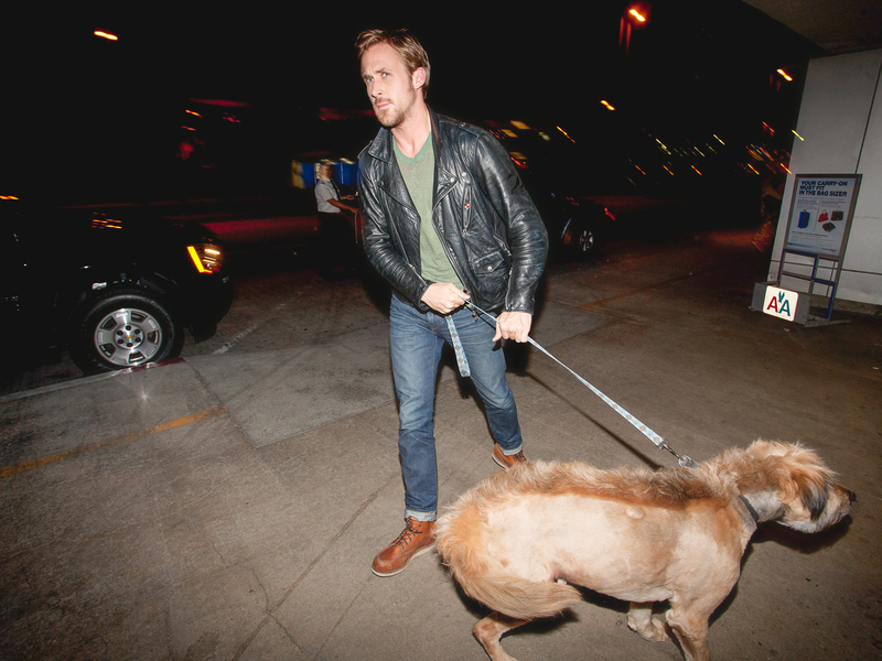 Ryan DogSling | Getty Images Photo by GVK/Bauer-Griffin/GC Images