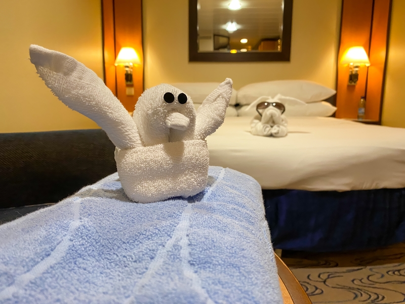 The Towel Animal Gang | Shutterstock