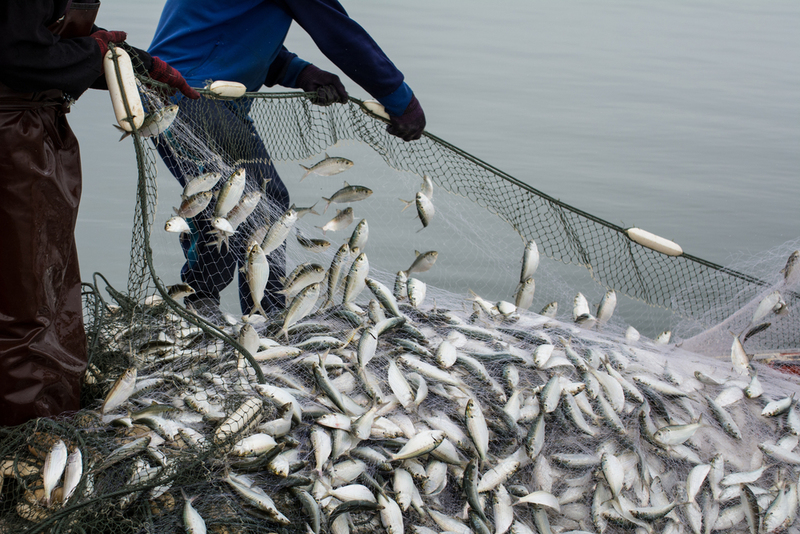 A Lot Of Time In The Waters | Shutterstock