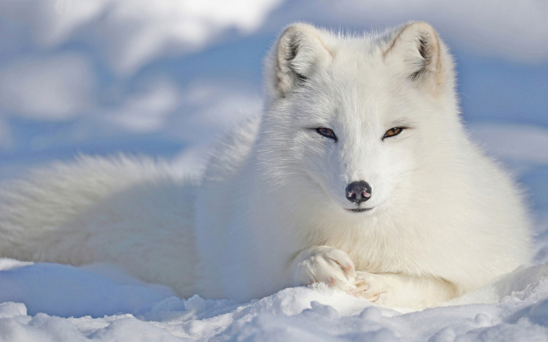 Being Patient | Shutterstock