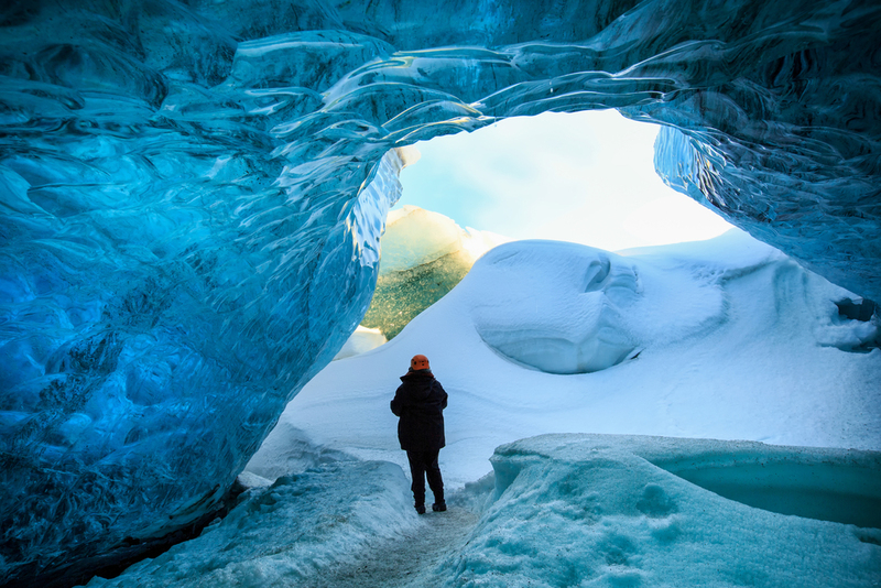 The Seasonal Treasure | Shutterstock